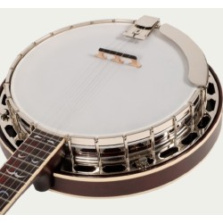 Recording King RK-R35 Banjo with Free Hardshell Case