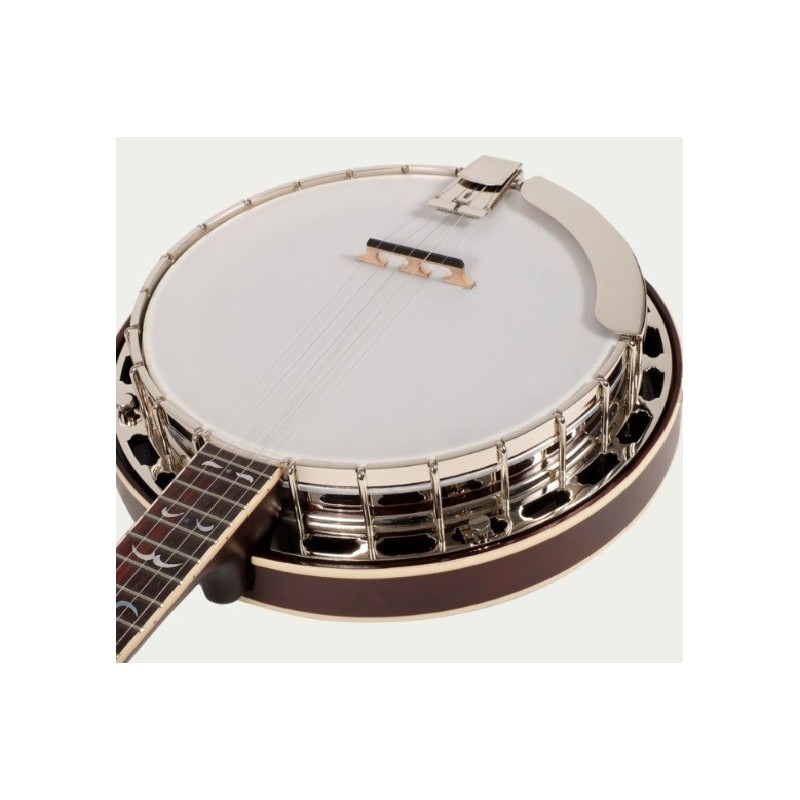 Recording King RK-R35 Banjo with Free Hardshell Case