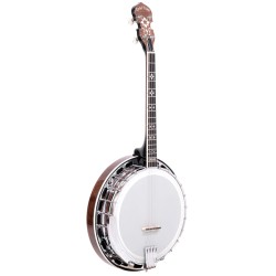 Gold Tone IT-250F 17 Fret Irish Tenor - 1 Piece Flange and Resonator