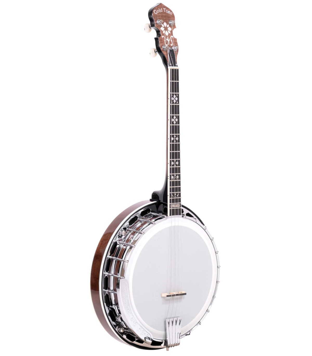 Best Irish Tenor Banjo | Gold Tone IT 250F | Archtop | 17 Fret Irish