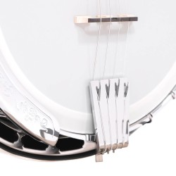 Gold Tone IT-250F 17 Fret Irish Tenor - 1 Piece Flange and Resonator