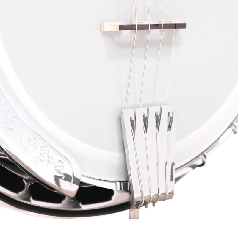 Gold Tone IT-250F 17 Fret Irish Tenor - 1 Piece Flange and Resonator