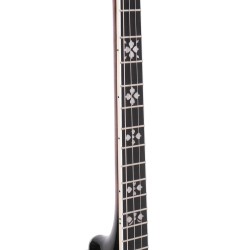 Gold Tone IT-250F 17 Fret Irish Tenor - 1 Piece Flange and Resonator