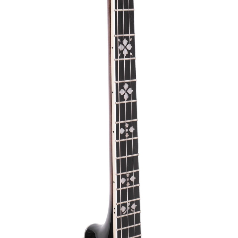 Gold Tone IT-250F 17 Fret Irish Tenor - 1 Piece Flange and Resonator