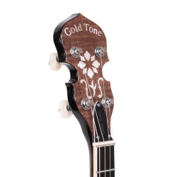 Gold Tone IT-250F 17 Fret Irish Tenor - 1 Piece Flange and Resonator