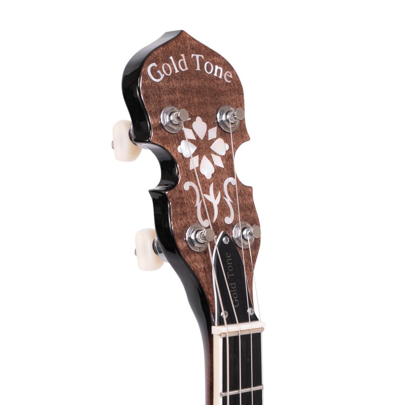 Gold Tone IT-250F 17 Fret Irish Tenor - 1 Piece Flange and Resonator