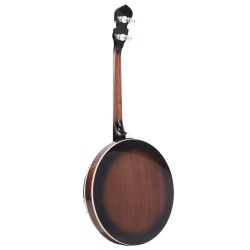 Gold Tone IT-250F 17 Fret Irish Tenor - 1 Piece Flange and Resonator