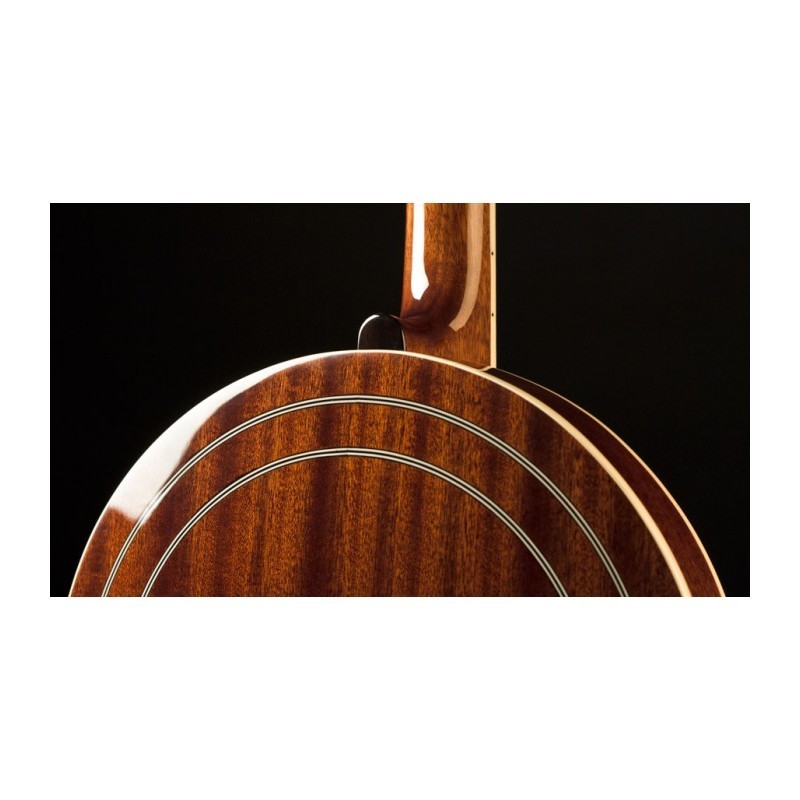 Recording King  RK-R75 The Elite