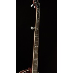 Recording King  RK-R75 The Elite