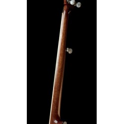 Recording King  RK-R75 The Elite