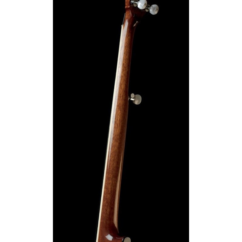 Recording King  RK-R75 The Elite