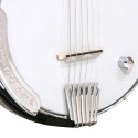 Gold Tone - The AC-6 SIX PLUS 6-string Banjo with Resonator