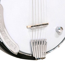 Gold Tone - The AC-6 SIX PLUS 6-string Banjo with Resonator