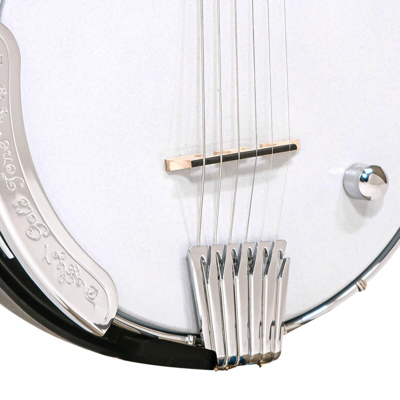 Gold Tone - The AC-6 SIX PLUS 6-string Banjo with Resonator