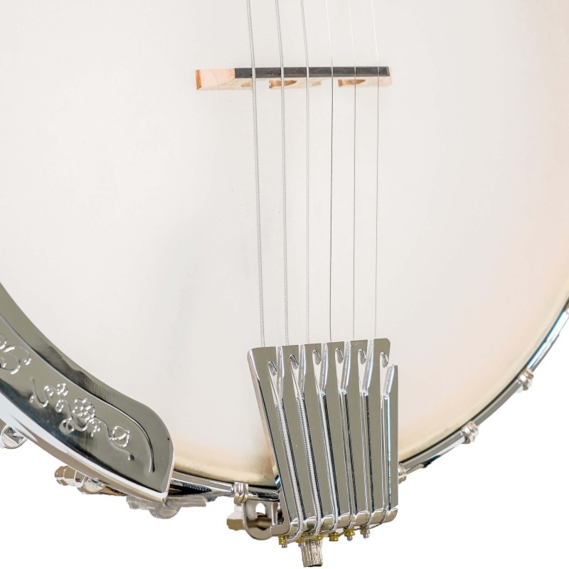 Gold Tone BT-1000 - 6-string Banjo with Free Installed Pickup - 12 Inch Open Back Banjitar