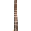 Gold Tone BT-1000 - 6-string Banjo with Free Installed Pickup - 12 Inch Open Back Banjitar
