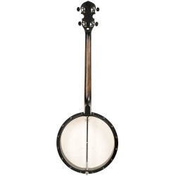 Gold Tone AC-4  Acoustic Composite 4-String Openback Tenor Banjo with Gig Bag