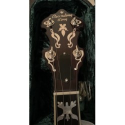 Recording King  RK-R75 The Elite