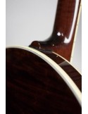 DEERING TENBROOKS SARATOGA STAR BANJO