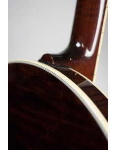 DEERING TENBROOKS SARATOGA STAR BANJO