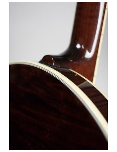 DEERING TENBROOKS SARATOGA STAR BANJO