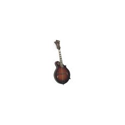 Mandolin - Sga - Kentucky Artist F-Model KM-805