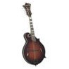 Mandolin - Sga - Kentucky Artist F-Model KM-805