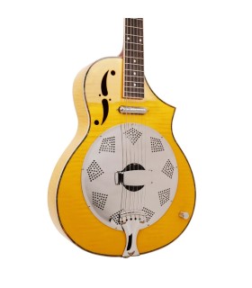 Gold Tone Mojo | Roundneck Resonator Guitar | Best Set Up