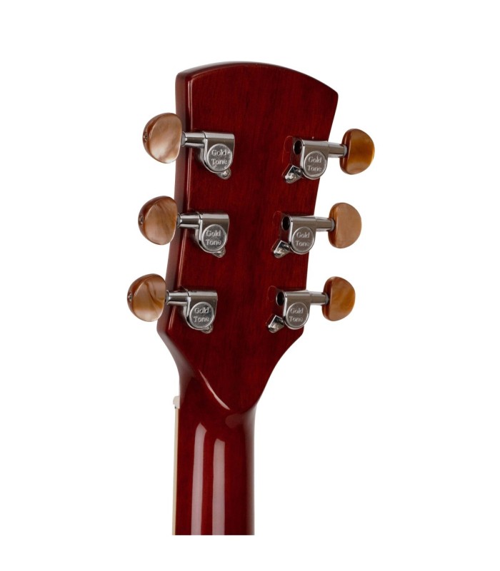 Gold Tone Mojo | Roundneck Resonator Guitar | Best Set Up