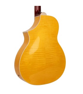 Gold Tone Mojo | Roundneck Resonator Guitar | Best Set Up