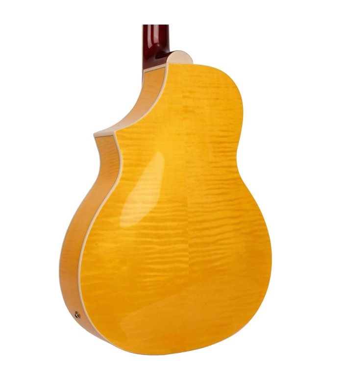 Gold Tone Mojo | Roundneck Resonator Guitar | Best Set Up