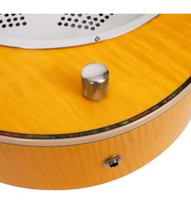 Gold Tone Mojo | Roundneck Resonator Guitar | Best Set Up