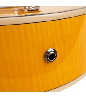 Gold Tone Mojo | Roundneck Resonator Guitar | Best Set Up