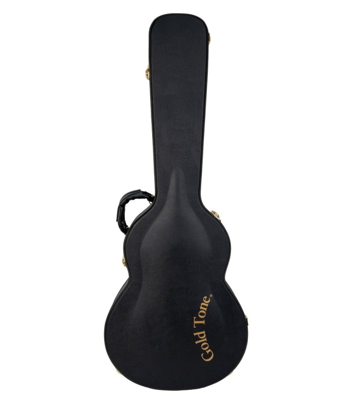 Gold Tone Mojo | Roundneck Resonator Guitar | Best Set Up