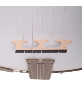 Deering Goodtime Parlor Junior Size 19 Fret Banjo Travel Banjo Deco Version