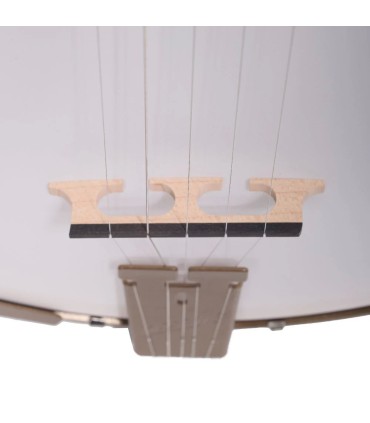 Deering Goodtime Parlor Junior Size 19 Fret Banjo Travel Banjo Deco Version