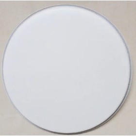 Replace Banjo Head | Standard Size | Fits Most Banjos | 11 inch | Remo