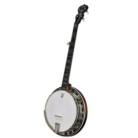 Deering Sierra 5 String Banjo | Maple or Mahogany | Pro Set Up