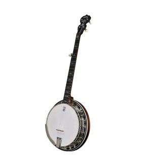 Deering Sierra 5 String Banjo | Maple or Mahogany | Pro Set Up