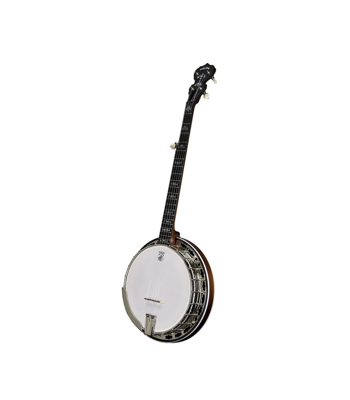 Deering Sierra 5 String Banjo | Maple or Mahogany | Pro Set Up