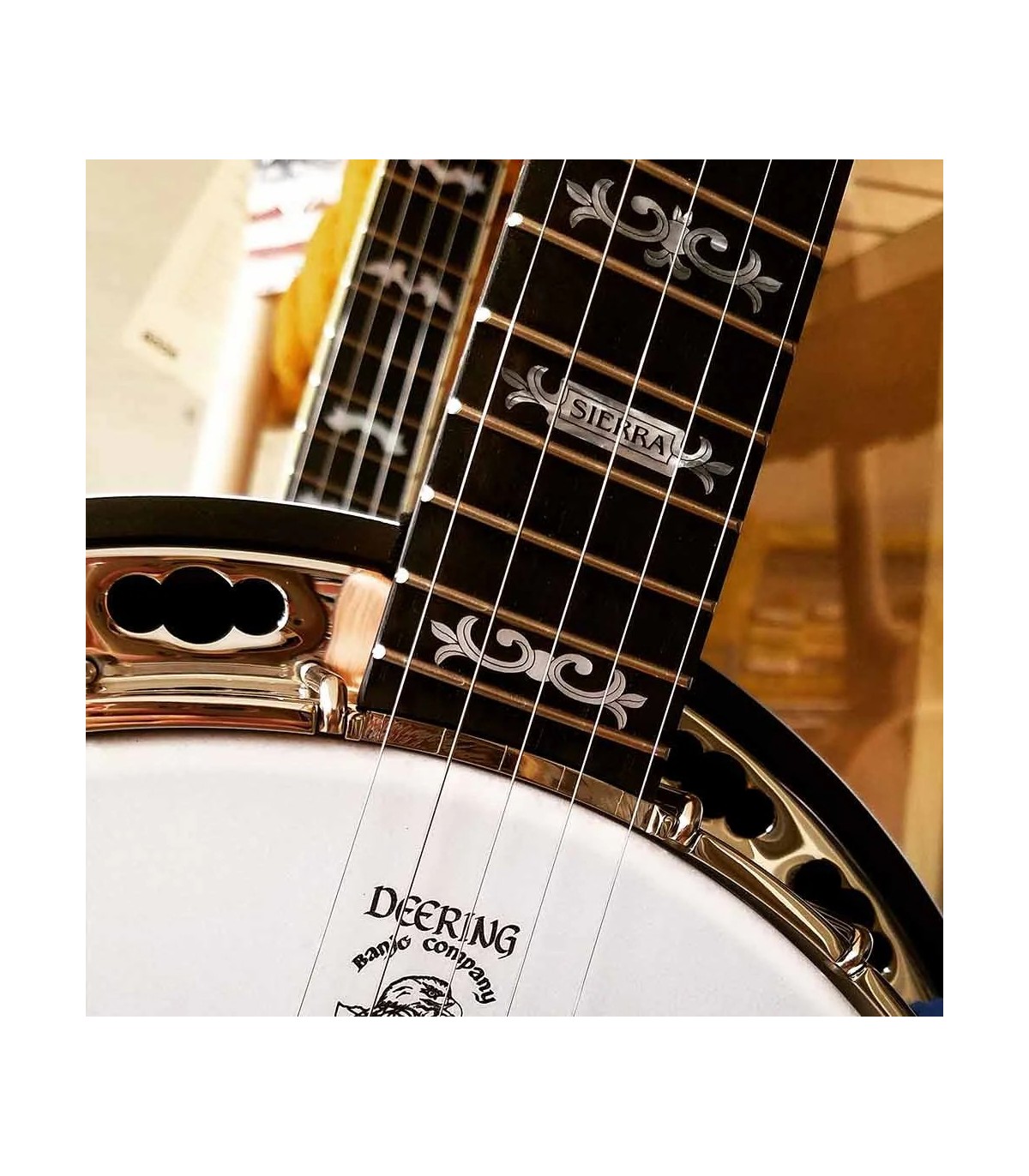 Deering Sierra 5 String Banjo | Maple or Mahogany | Pro Set Up