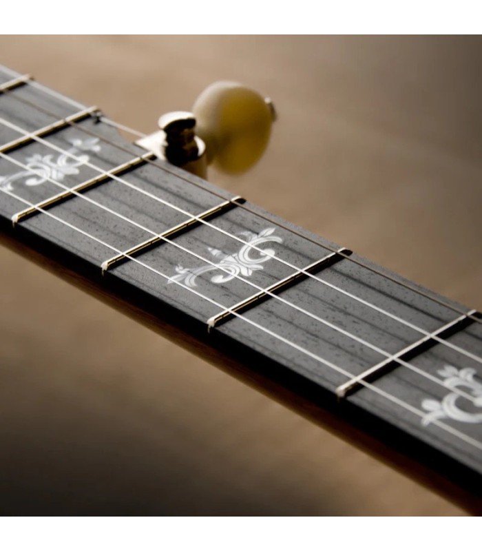 Deering Sierra 5 String Banjo | Maple or Mahogany | Pro Set Up