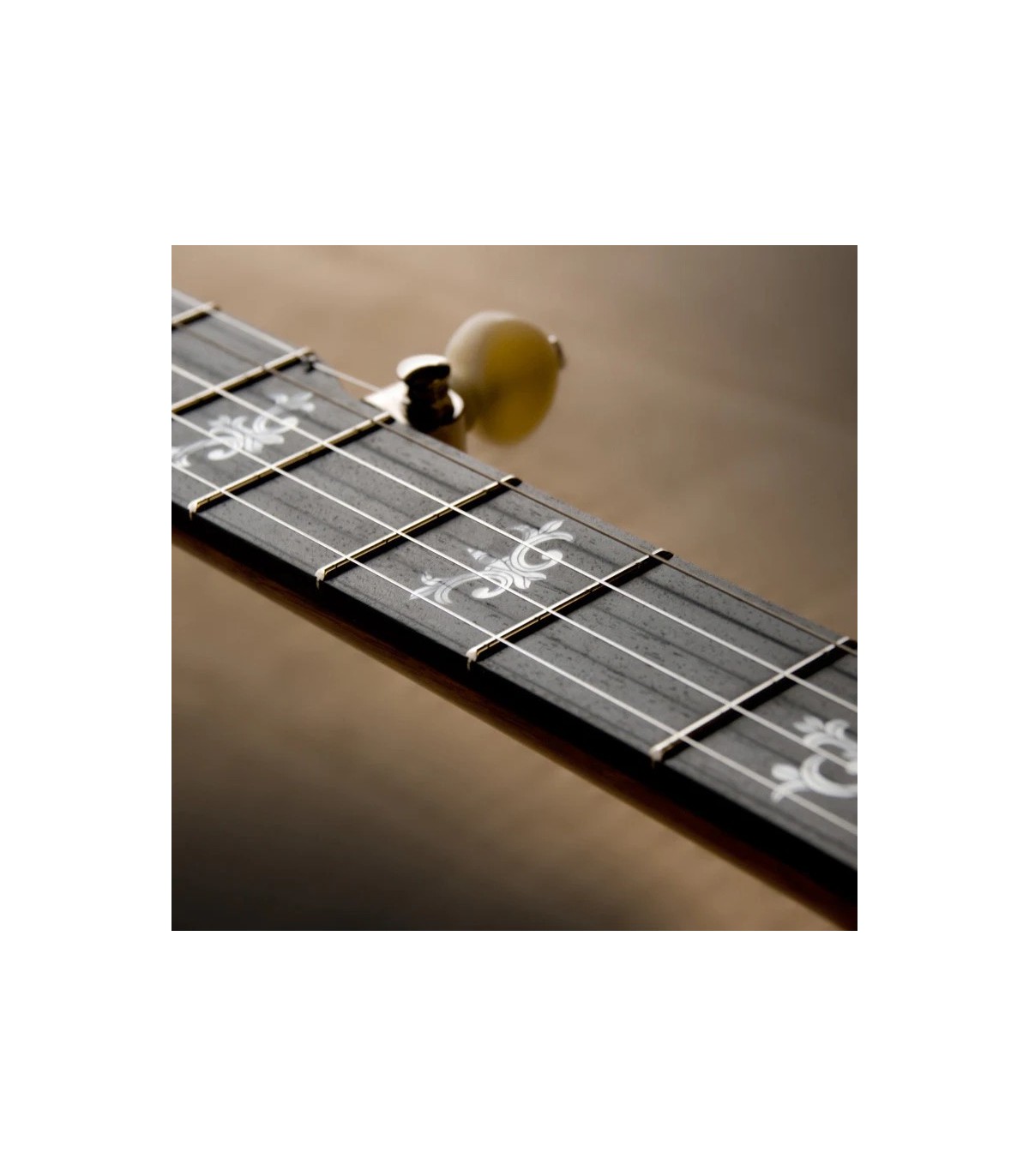 Deering Sierra 5 String Banjo | Maple or Mahogany | Pro Set Up