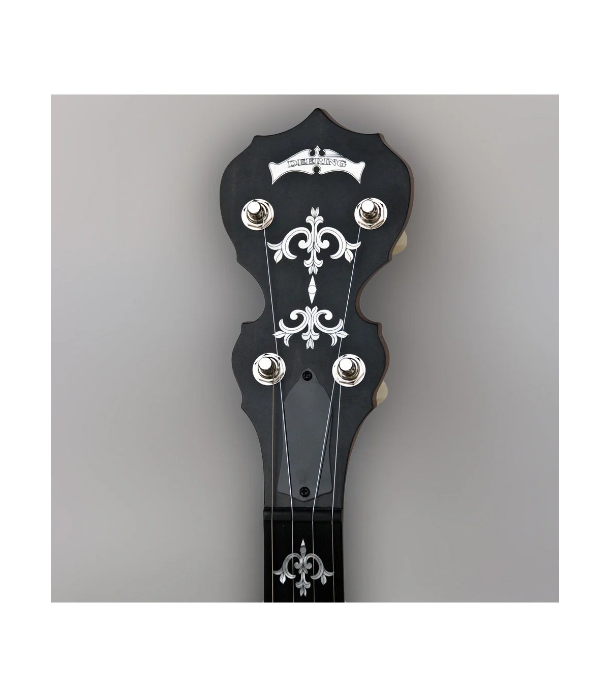 Deering Sierra 5 String Banjo | Maple or Mahogany | Pro Set Up