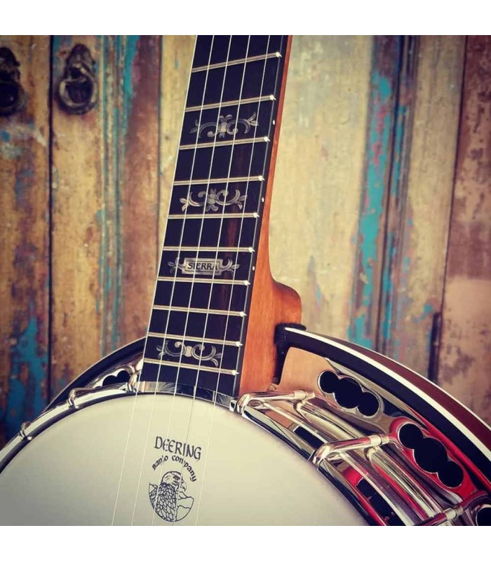 Deering Sierra 5 String Banjo | Maple or Mahogany | Pro Set Up