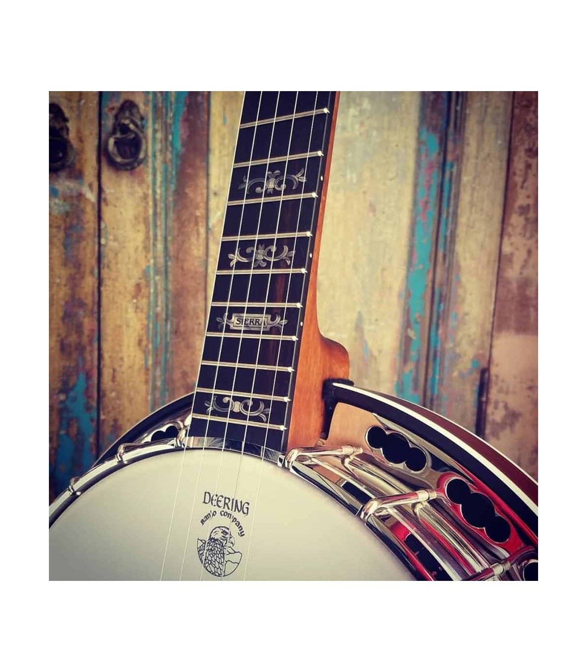 Deering Sierra 5 String Banjo | Maple or Mahogany | Pro Set Up