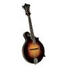 Mandolin - Saga - Kentucky Master Model F Mandolin - KM-1000