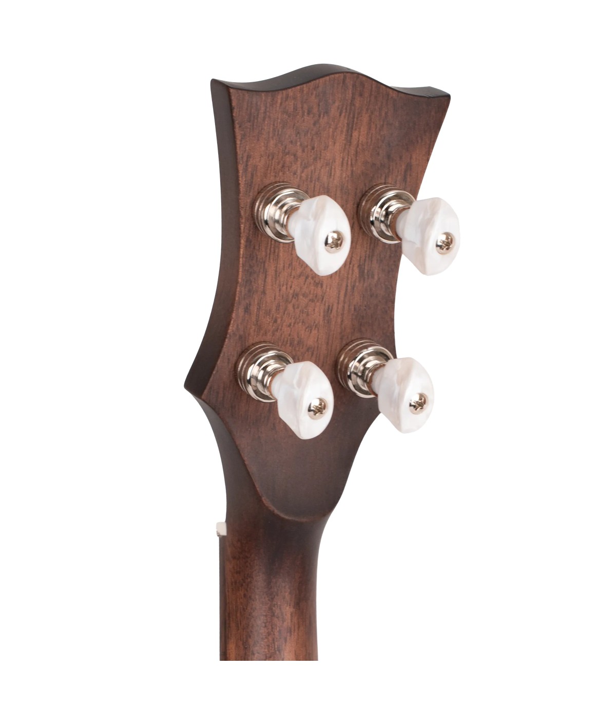 Gold Tone OB-100 | With Hard Case Discount | Lighter Weight Bluegrass Banjo