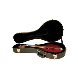 Mandolin Case - GoldTone (HDM) shaped