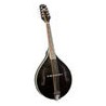 Mandolin - Saga - Kentucky Standard Model -A Mandolin - KM-161